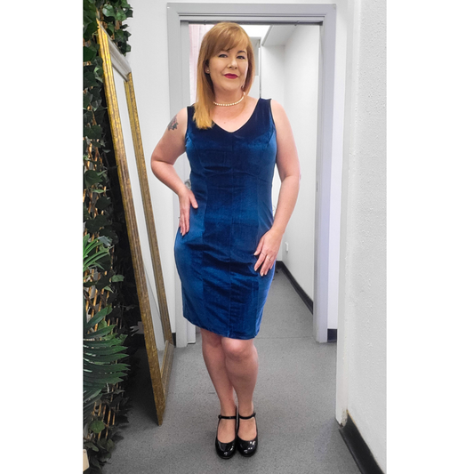 Isla Pencil Dress Blue Velvet